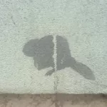 PL Krakow animal