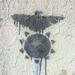 PL Krakow bird on sun