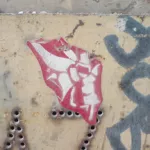 PL Krakow insect