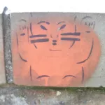 PL Krakow cat