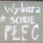 PL Krakow select sobieski plectrums