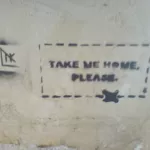 PL Krakow take me home pls
