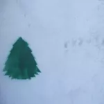 PL Lublin tree
