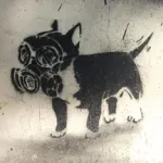 PL Lublin dog in gas mask