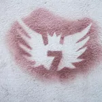 PL Lublin 7 in bird