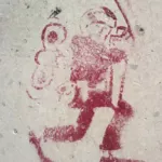 PL Rzeszow wind up cop