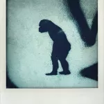 PT walking gorilla