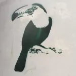 PT Lisbon tucan