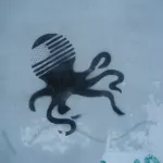 RO Timisoara krake 1