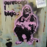 RS Belgrade Star Wars Chewbacca