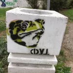 RS Belgrade Leksi frog