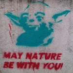 RS Belgrade Star Wars Yoda