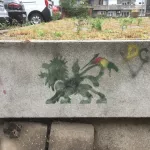 RS Belgrade rasta lion