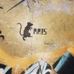 ES Terrassa Rats