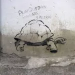 ES Grenada 24