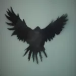 UK Leiscester flying bird