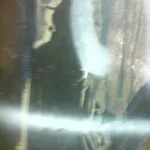 UK Norwich 12