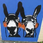 UK Bristol Donkeys