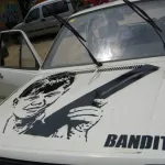 bandit on car 3072x2304