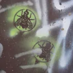 SK Bratislava fly