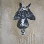 SK Bratislava Spiderman