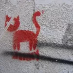 IL Tel Aviv cat