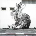 Dede IL large rabbits
