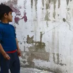 Pejac Aman JO Palestine box kite