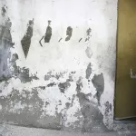 Pejac Aman JO Palestine shrinking territory