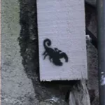 NZ Wellington Scorpion