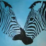 NZ NewmaN Zebras 1