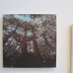 Adam Feibelman - Do With Me As You Will 01