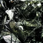 Adam5100 Still-Life