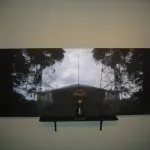 NoCal Adam 5100 Heart vs Mind 05