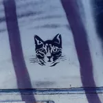 James Sellier cat head