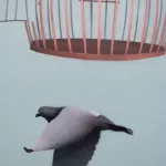 SF Mission 19th condo mural pigeons 01