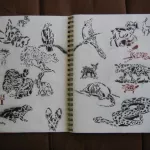 Scott Williams California Glory sketchbook 03