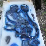 Scott Williams Cut Out 15