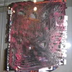 Scott Williams 2005 SFAI 05
