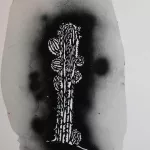 Scott Williams 2005 SFAI 15