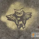 Sol Mission owl skeleton
