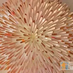 Todd Hanson 3D Floral Cut Out 01