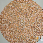 Todd Hanson Cut Out 14