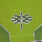 Xavi SF green pattern