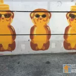 FNNCH Honey Bears in sunglasses