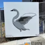 fnnch Alamo Square swan mural