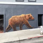 fnnch California Bear SF