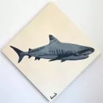 fnnch shark on canvas