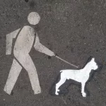 fnnch Duboce Park boxer
