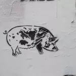 Jeremy Novy Lower haight pig